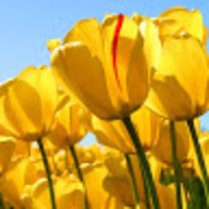 Meet your Posher, Jillian